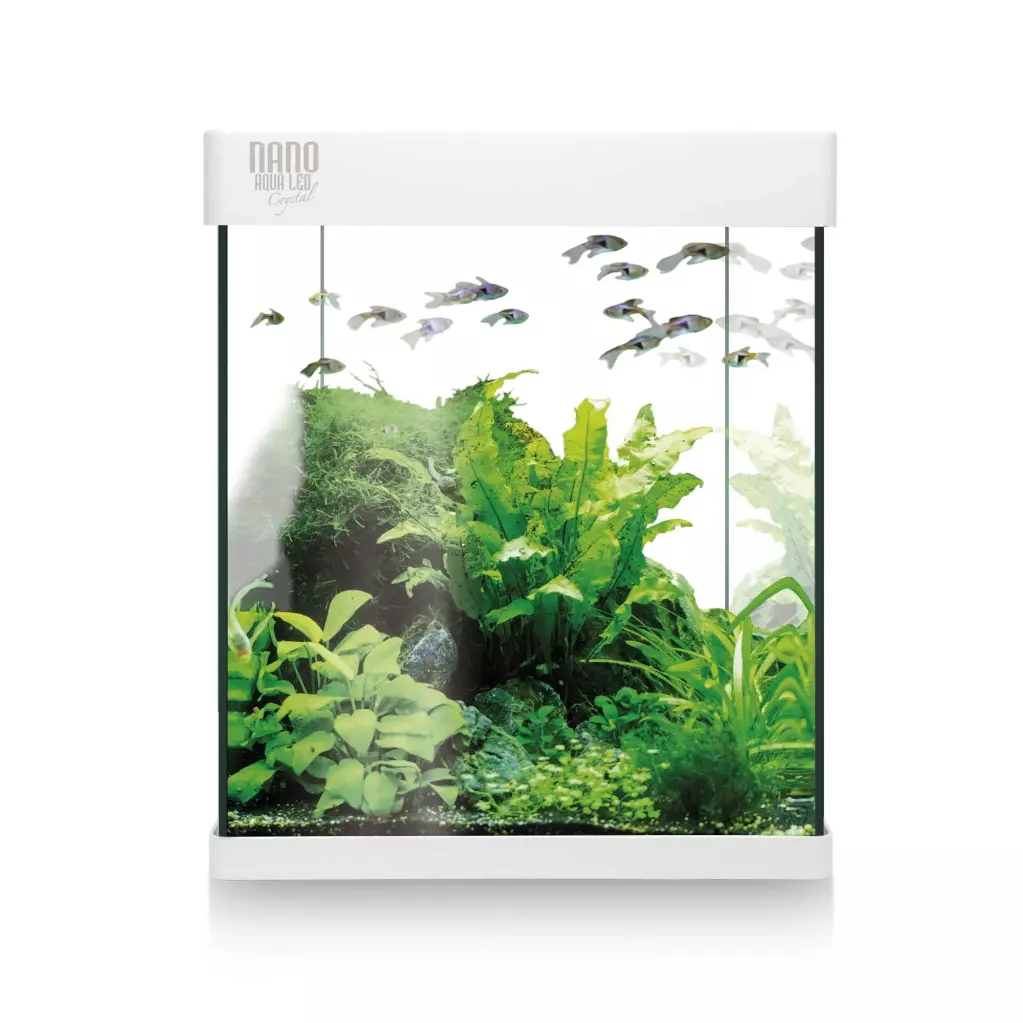 KIT NANO ACUALED 10L
