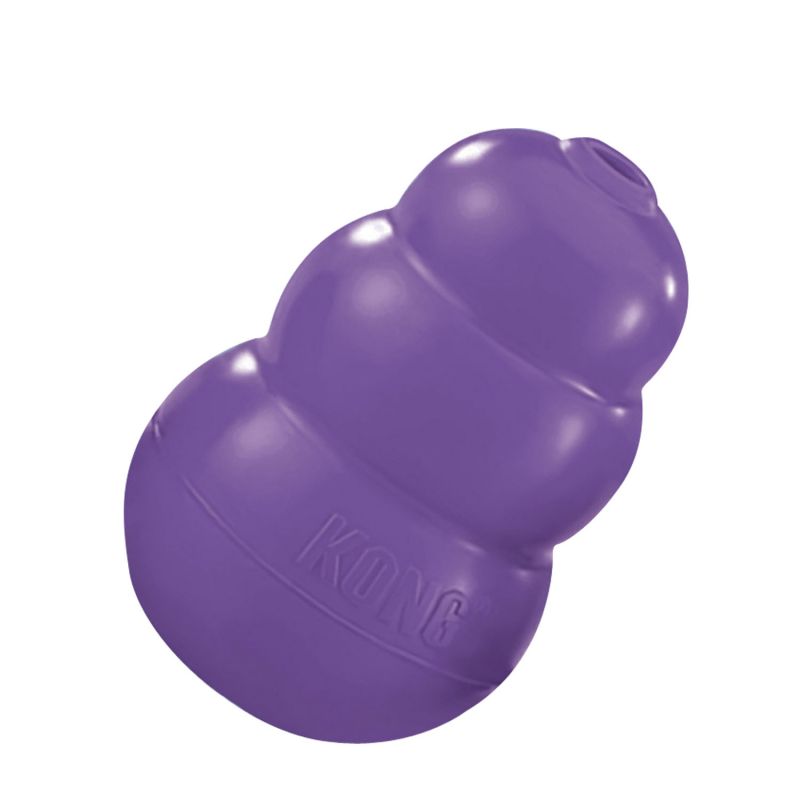 KONG SENIOR SMALL