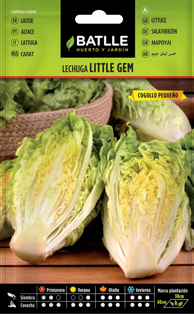 LECHUGA LITTLE GEM COGOLLO PEQUEÑO