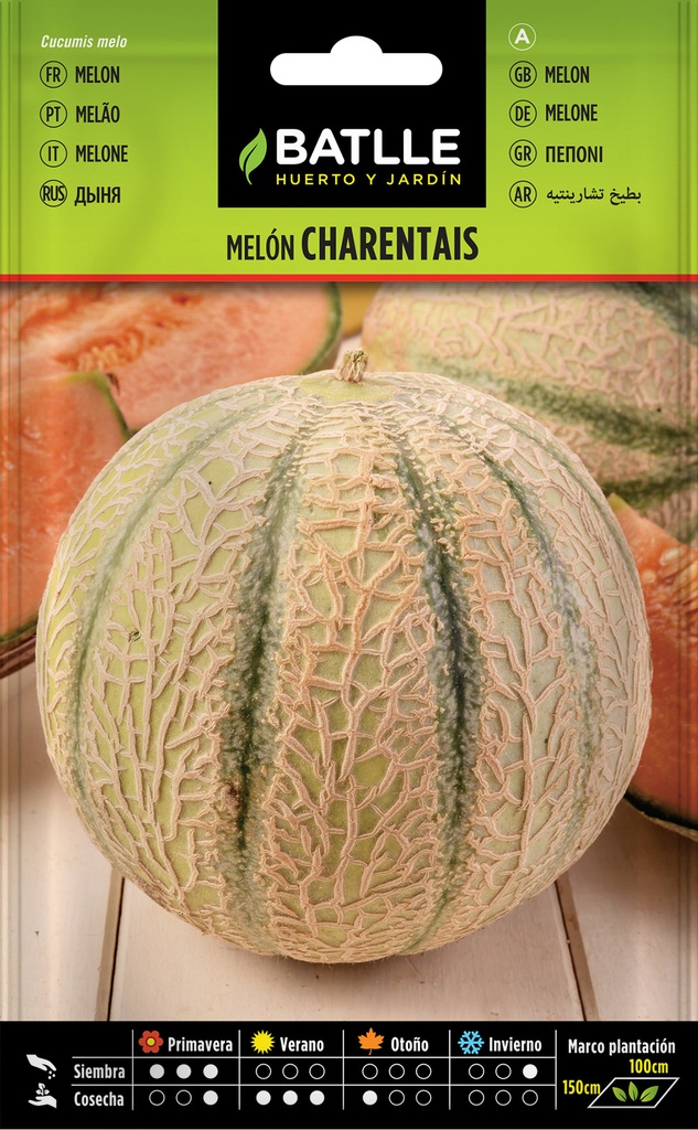 MELON CHARENTAIS