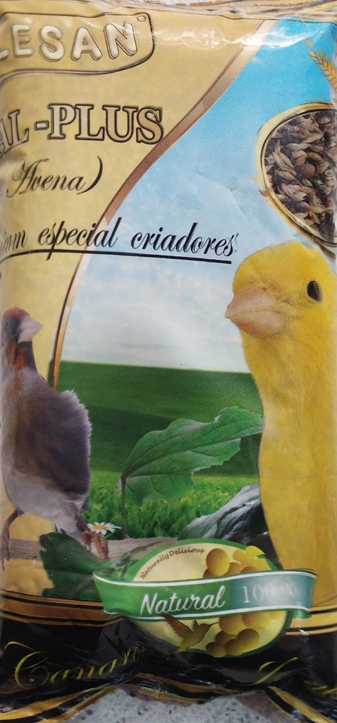MIXTURA SIN AVENA CANARIOS 0,9 KGRS