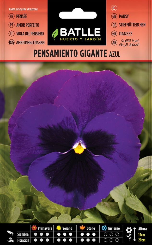 PENSAMIENTO GIGANTE (AZUL)