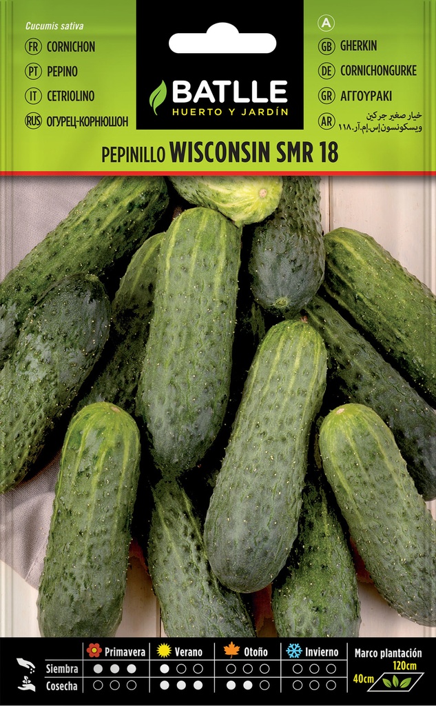 PEPINILLO WISCONSIN SMR