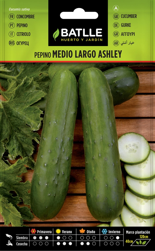 PEPINO ASHLEY MEDIO LARGO