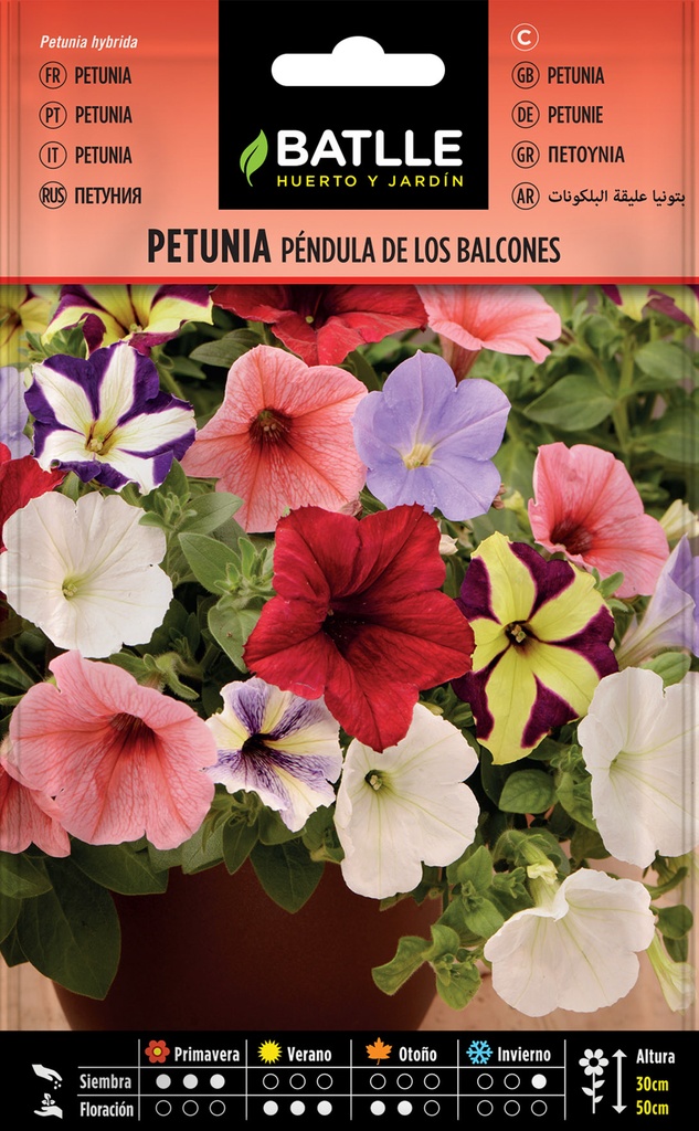 PETUNIA PENDULA DE LOS BALCONES