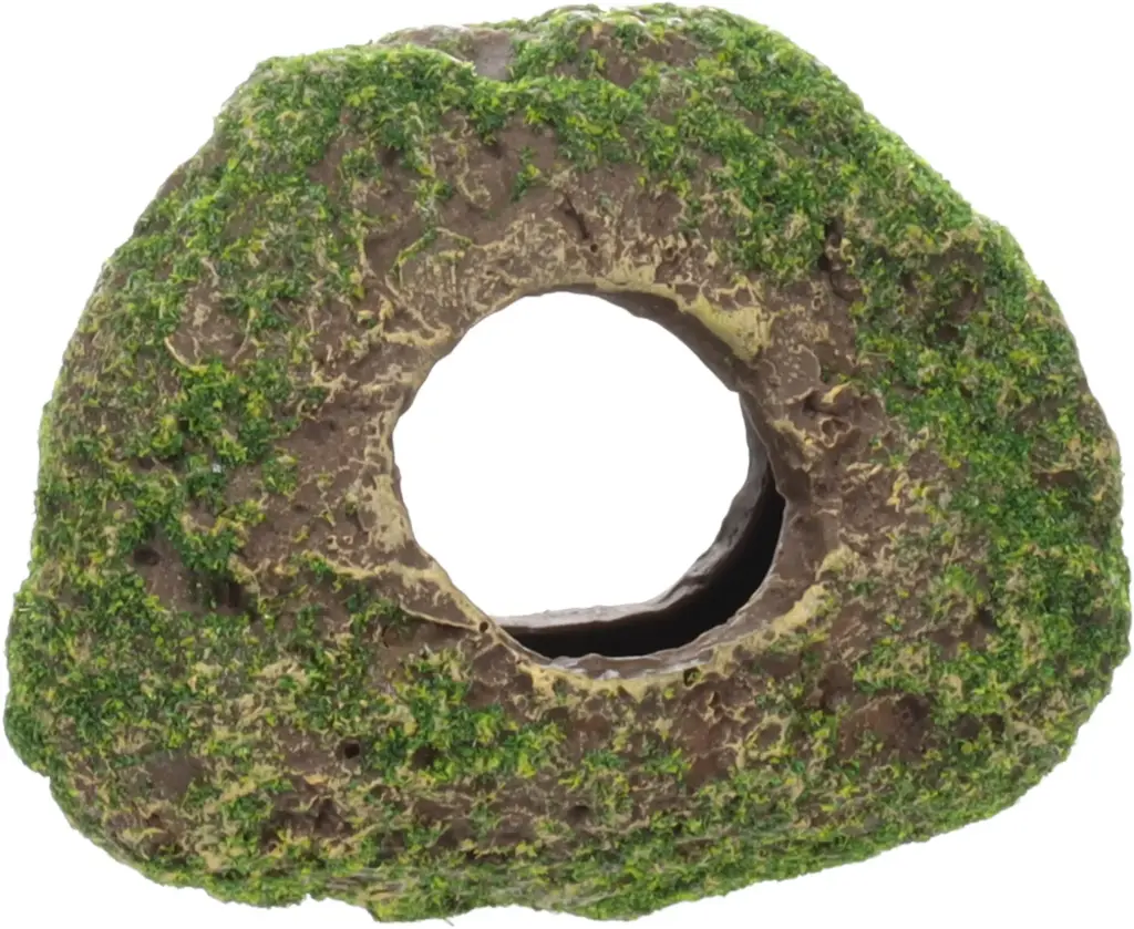 PIEDRA CON AGUJERO Y MUSGO  