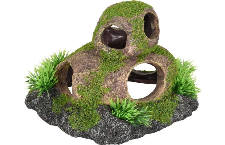 PIEDRA CON AGUJERO Y MUSGO 