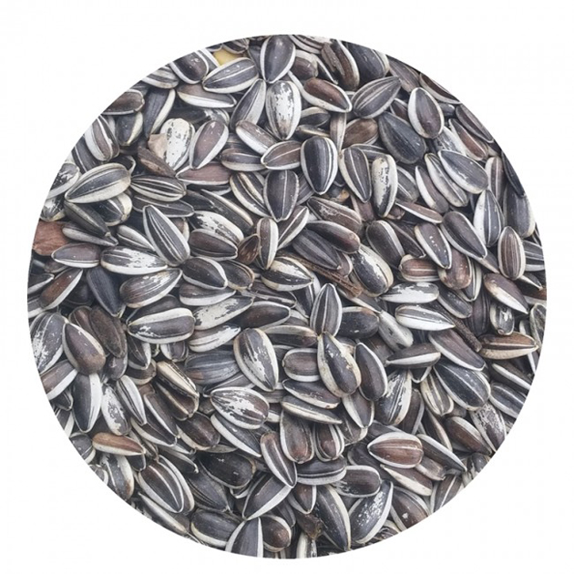 PIPAS AGAPORNIS 250 GRS