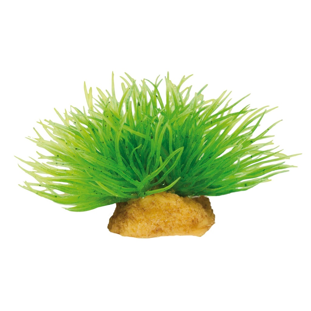 PLANTA MAGIC MOD 1X3 UNDS