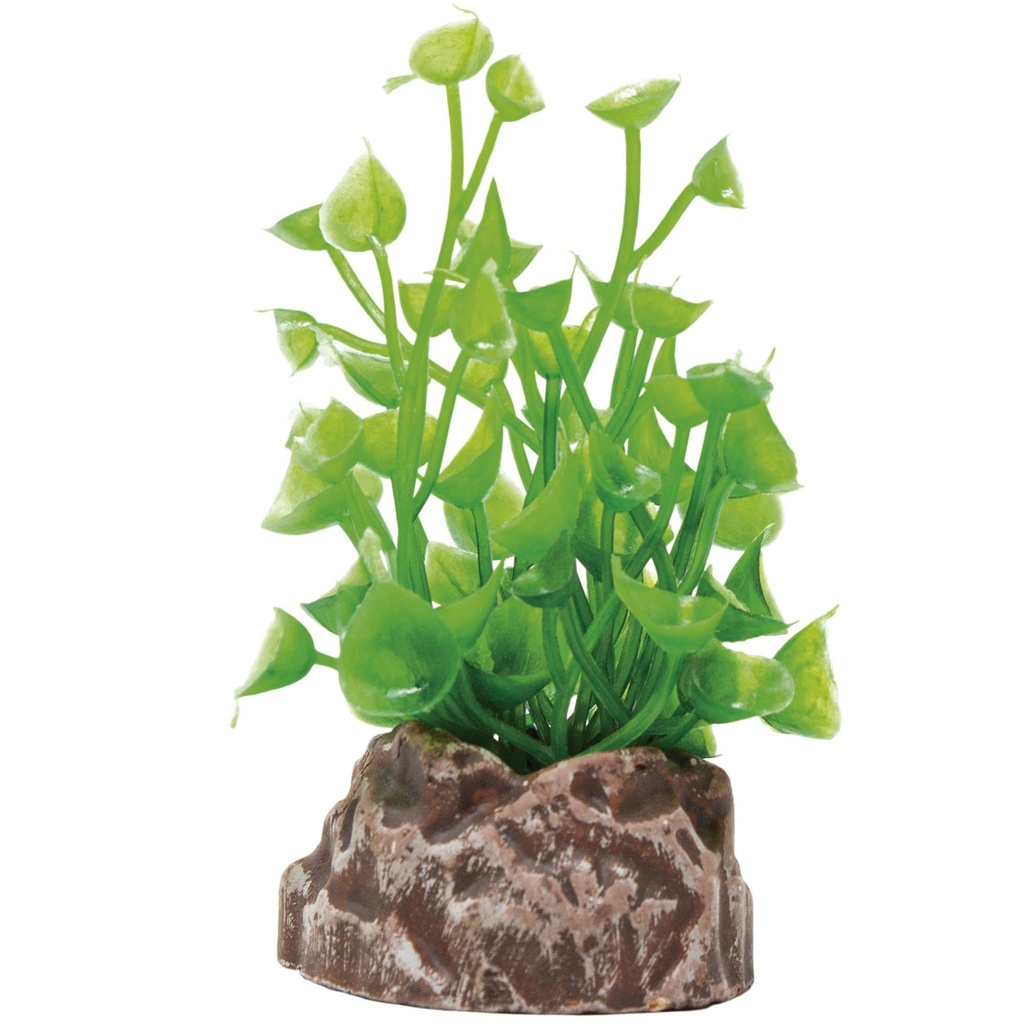PLANTA MAGIC MOD. 6.1X3 UNDS