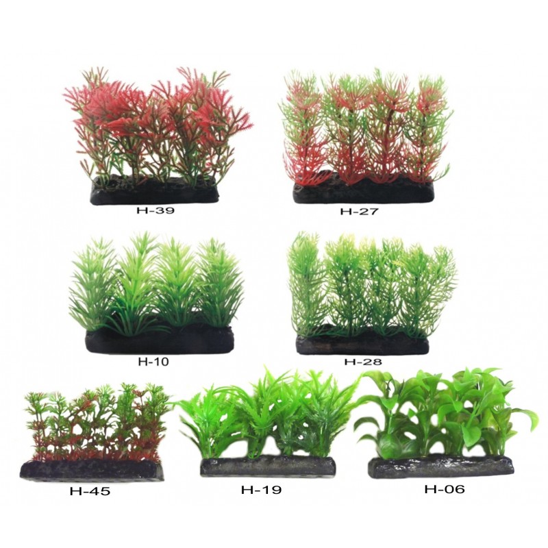 PLANTA PLAST. SURTIDAS 1º PLANO 