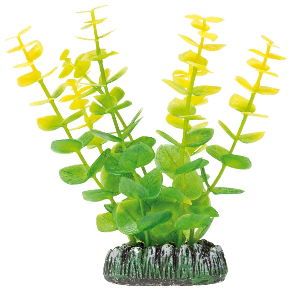 PLANTA PLASTICO BACOPA AMARILLA 8.5 CMS