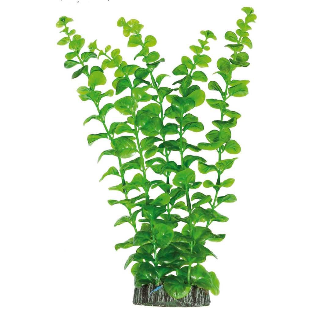 PLANTA PLASTICO BACOPA AUREA 28 CMS