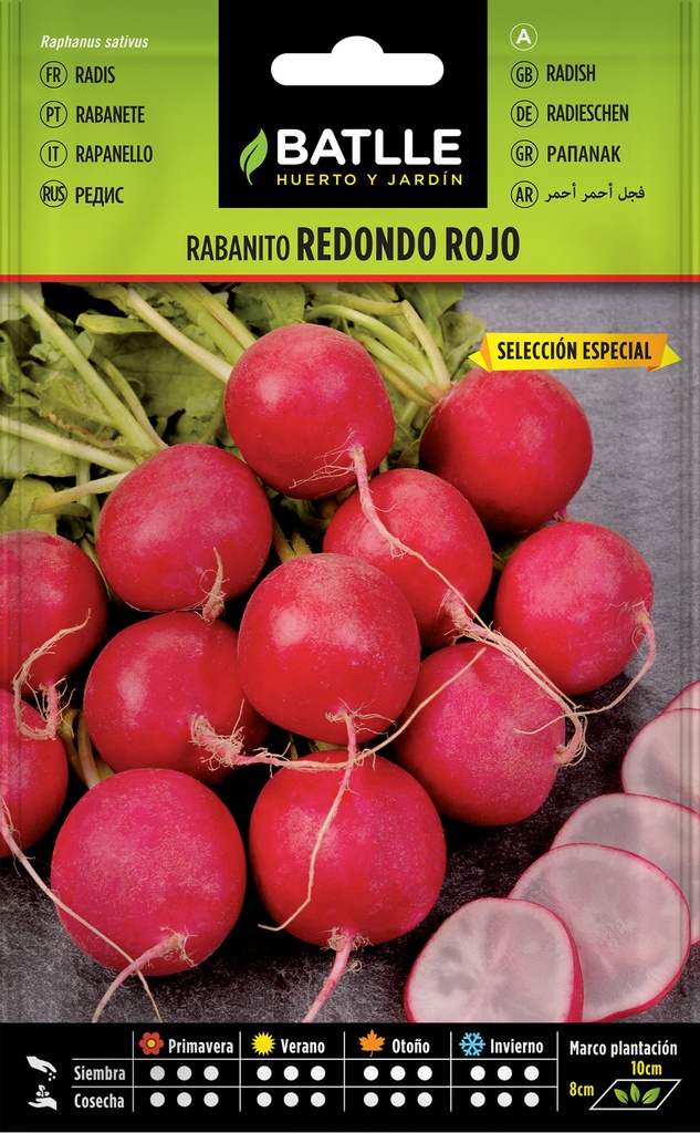 RABANITO REDONDO ROJO SEL. ESPECIAL