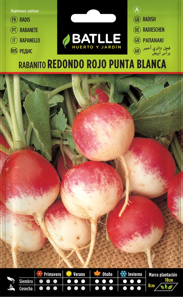 RABANITO REDONDO ROJO PUNTA BLANCA