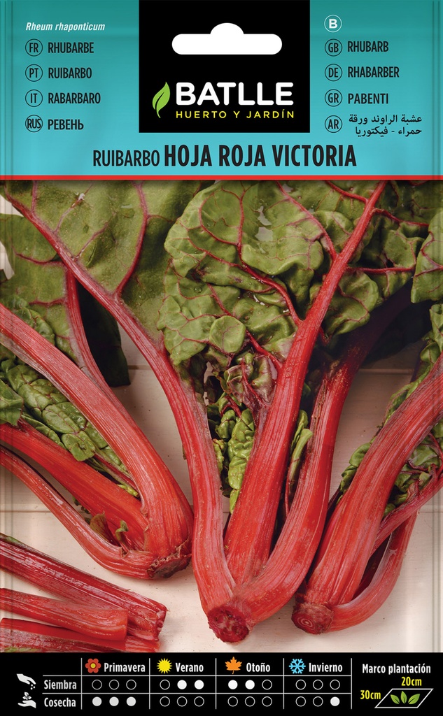 RUIBARBO HOJA ROJA - VICTORIA