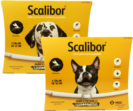 SCALIBOR COLLAR 48 CM