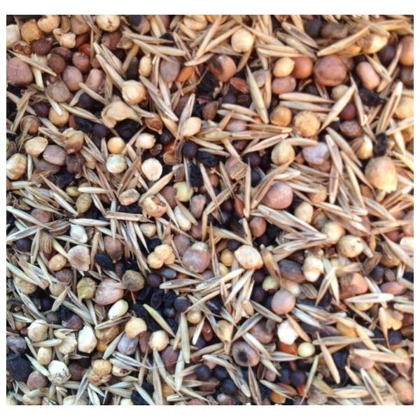 SEMILLAS SALUD 800 GRS