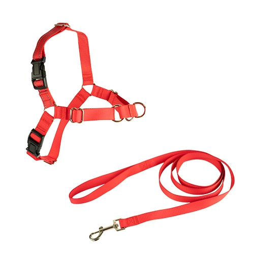 STOP-PULLING ARNES Y CORREA DOGWAY L ROJO