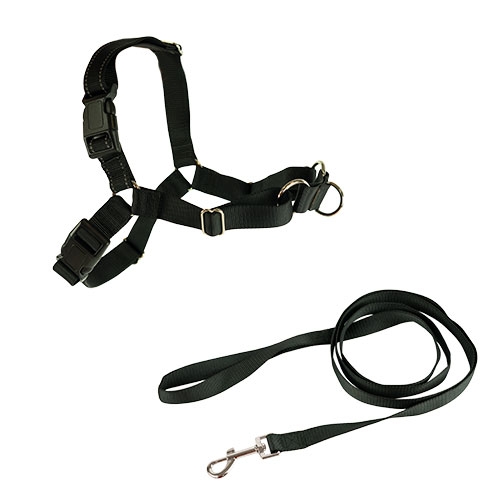 STOP-PULLING ARNES Y CORREA IBAÑEZ DOGWAY S NEGRO