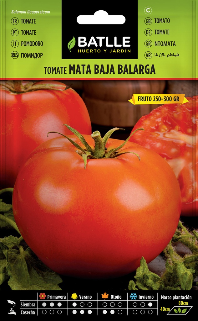 TOMATE BALARGA