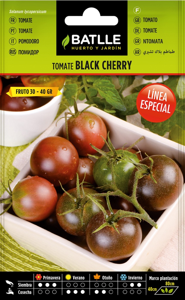 TOMATE BLACK CHERRY