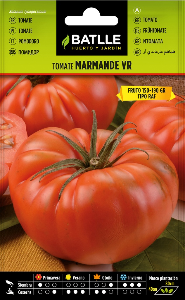 TOMATE MARMANDE VR - HOLANDA