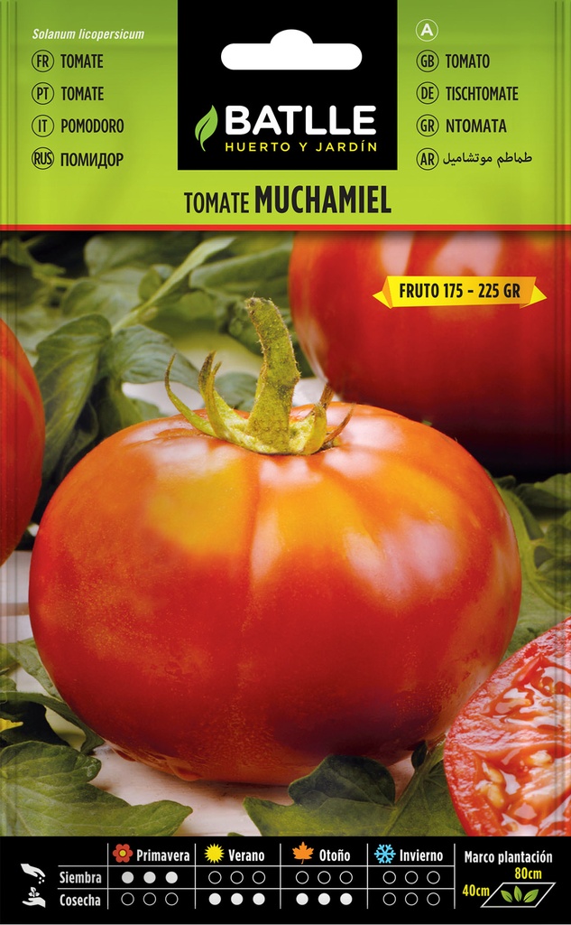 TOMATE MUCHAMIEL