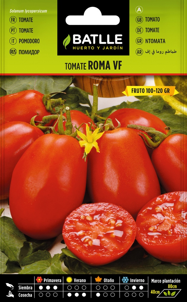 TOMATE ROMA VF