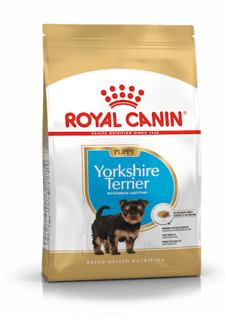 YORKSHIRE JUNIOR 1,5 KG