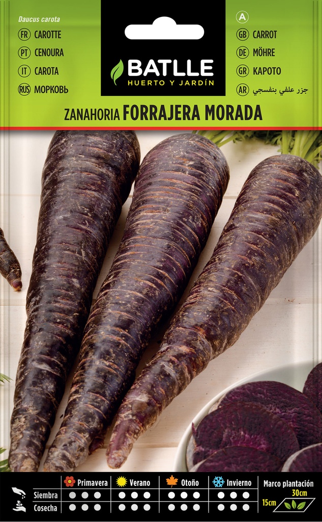 ZANAHORIA FORRAJERA MORADA