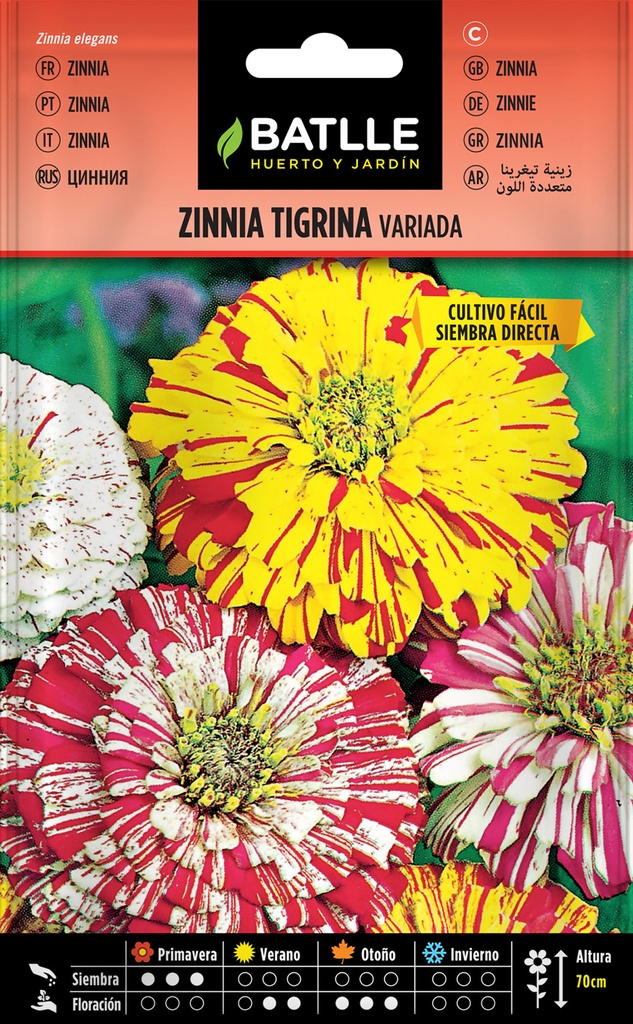 ZINNIA TIGRINA VARIADA