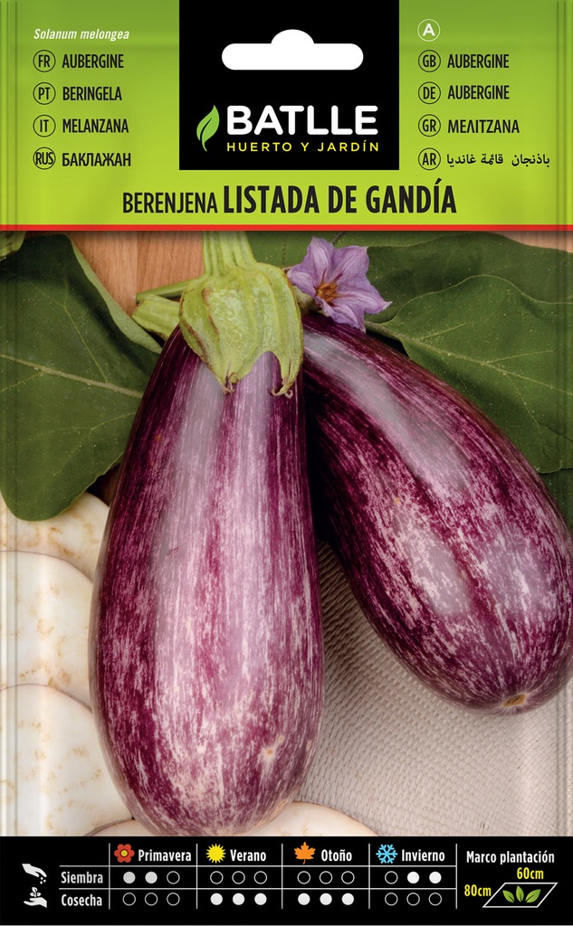 BERENJENA LISTADA DE GANDIA