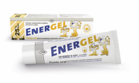 ENERGEL PASTA ORAL 80 GRS