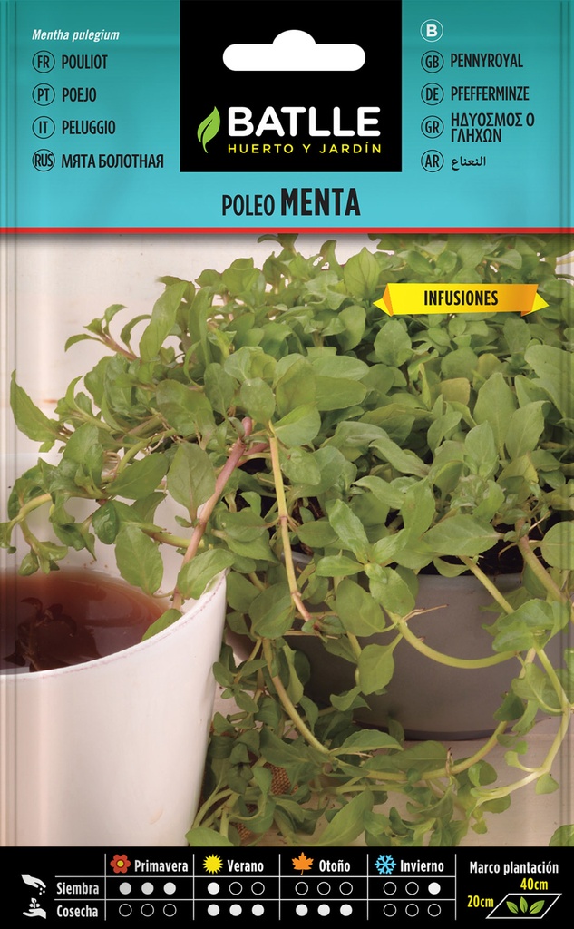 POLEO MENTA (INFUSIONES)