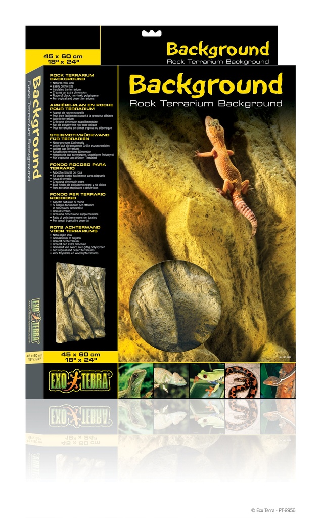 FONDO ROCOSO TERRARIO 60X45 CMS