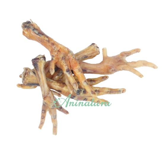 SNACK PATA DE POLLO  1 UND