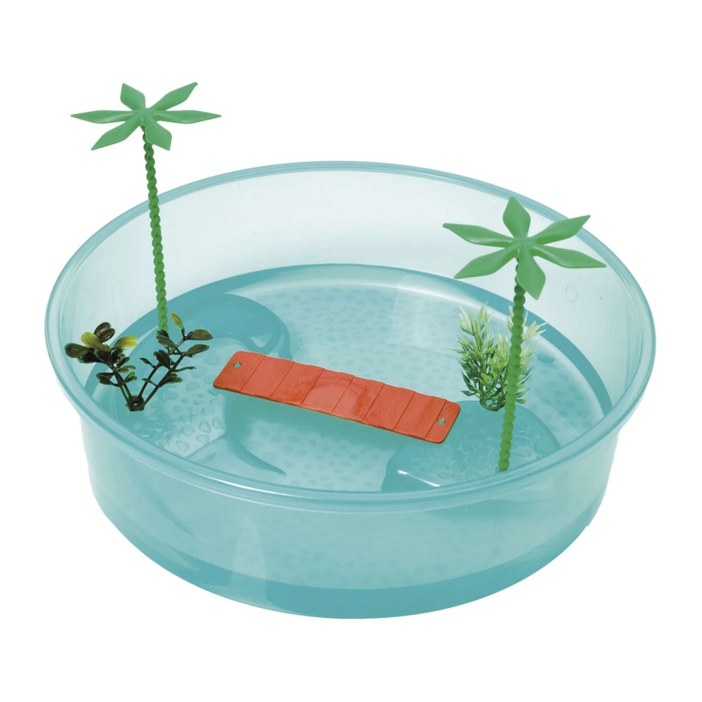 TORTUGUERA REDONDA ISLA