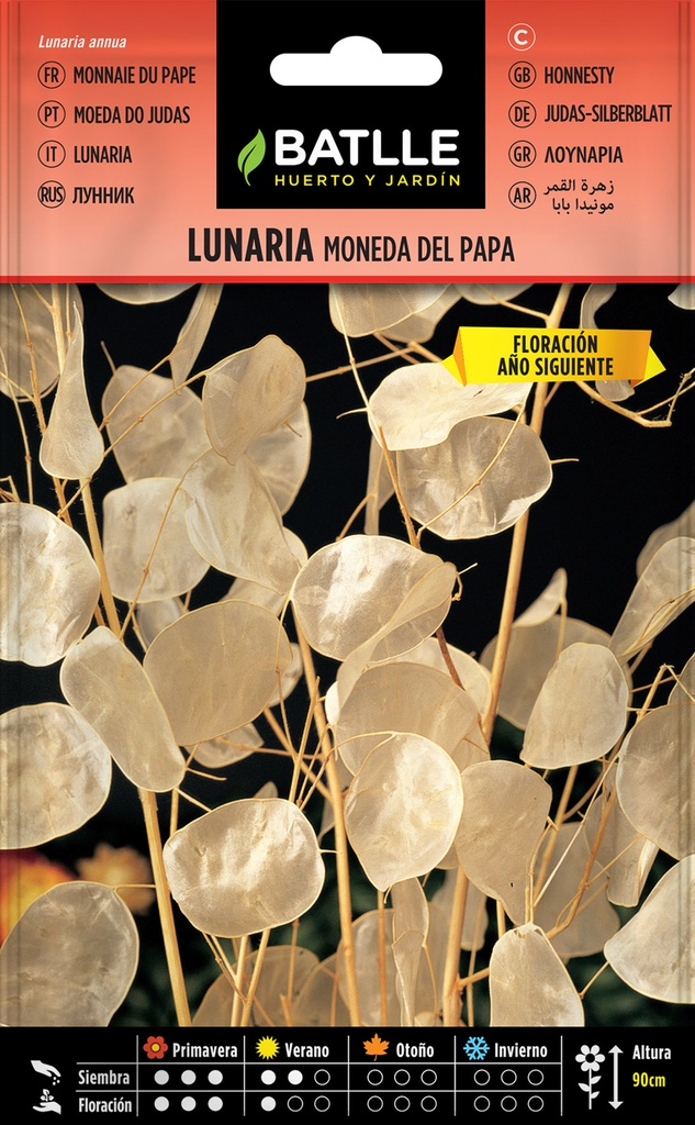 LUNARIA MONEDA DEL PAPA