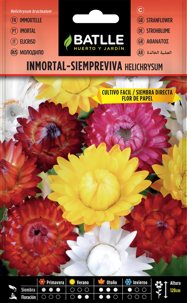 INMORTAL SIEMPREVIVA HELICHRYSUM