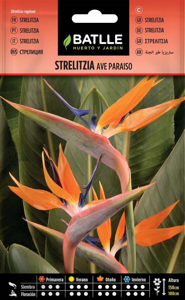 STRELITZIA AVE PARAISO