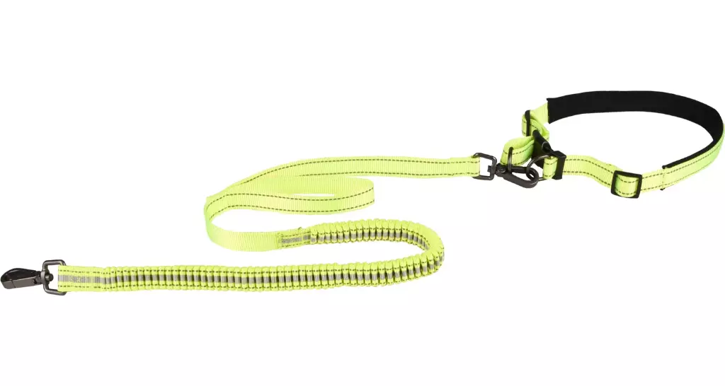 JOGGING LEASH CINTURON RUNNING