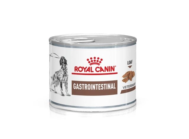 ROYAL CANIN VET GASTROINTESTINAL 200 GRS