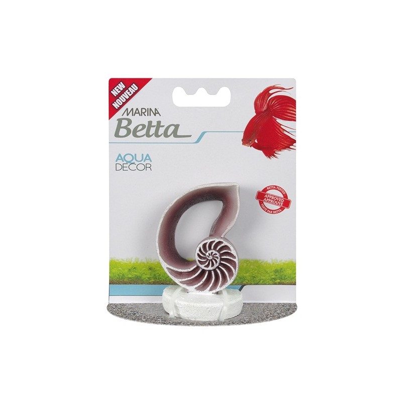 DECORACION BETTA CONCHA DE MAR