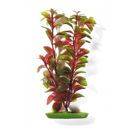 PLANTA DE PLÁSTICO LUDWIGIA ROJA