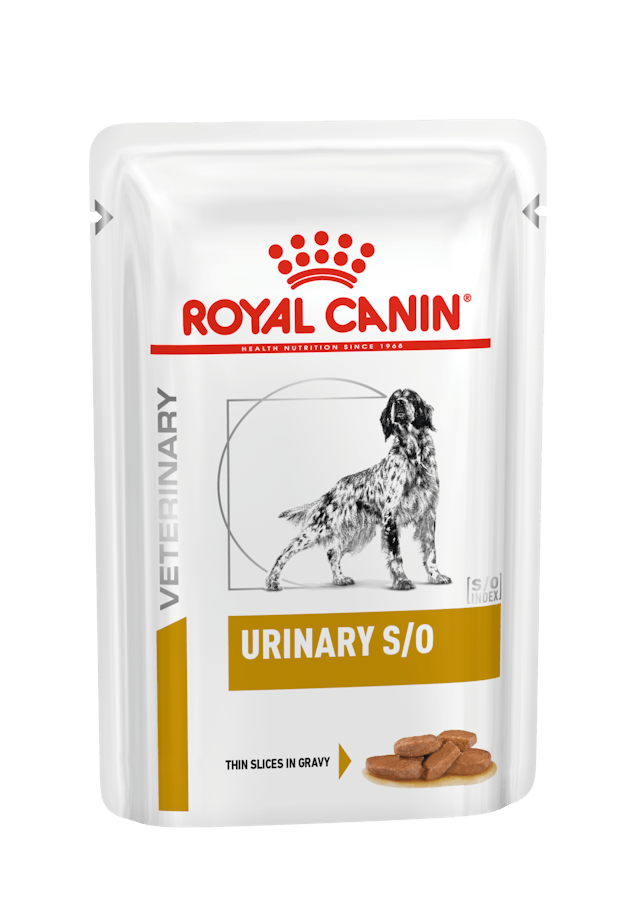 ROYAL CANIN CANINE URINARY S/O 100 GRS