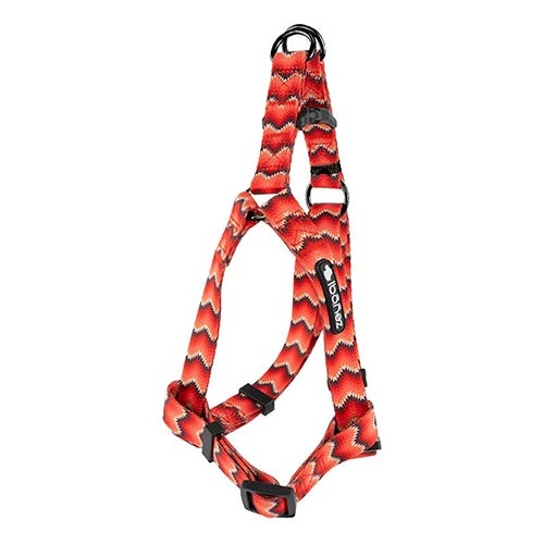 ARNES FANTASY SNAKE ROJO XS/S 