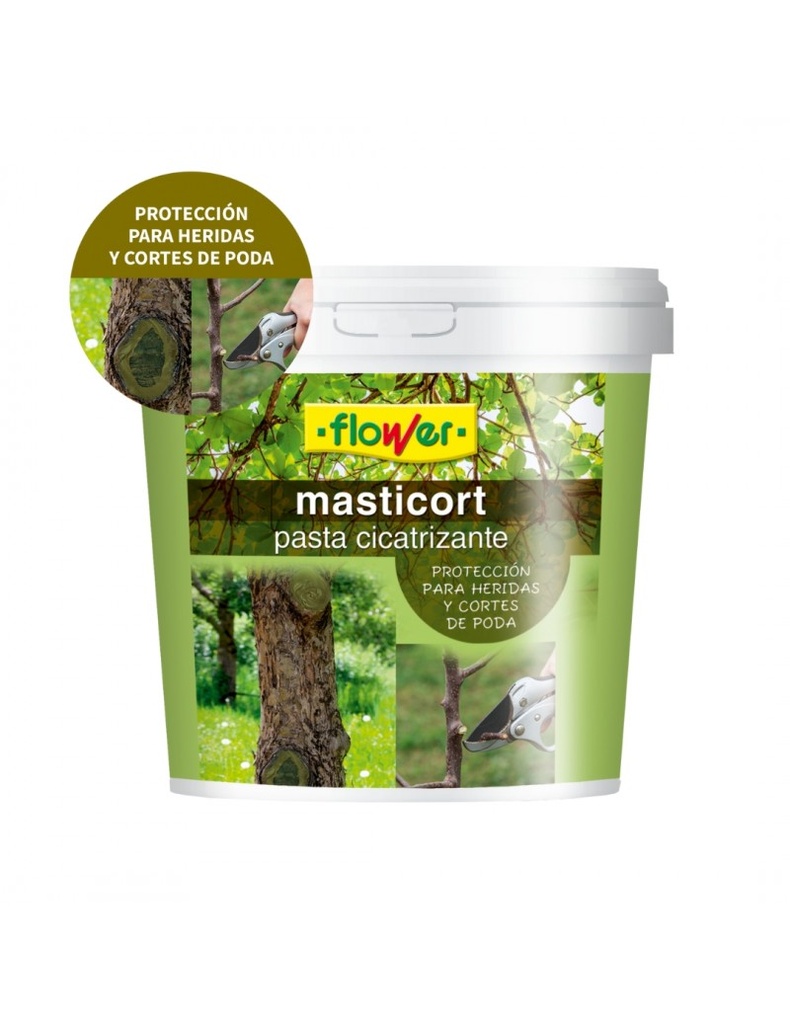 MASTI-CORT CICATRIZATE 250 GRS