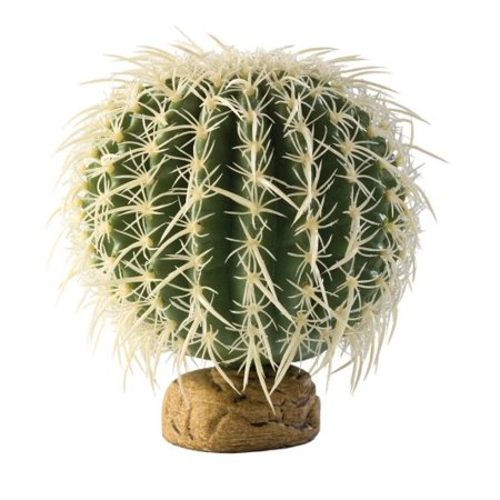 CACTUS MEDIUM