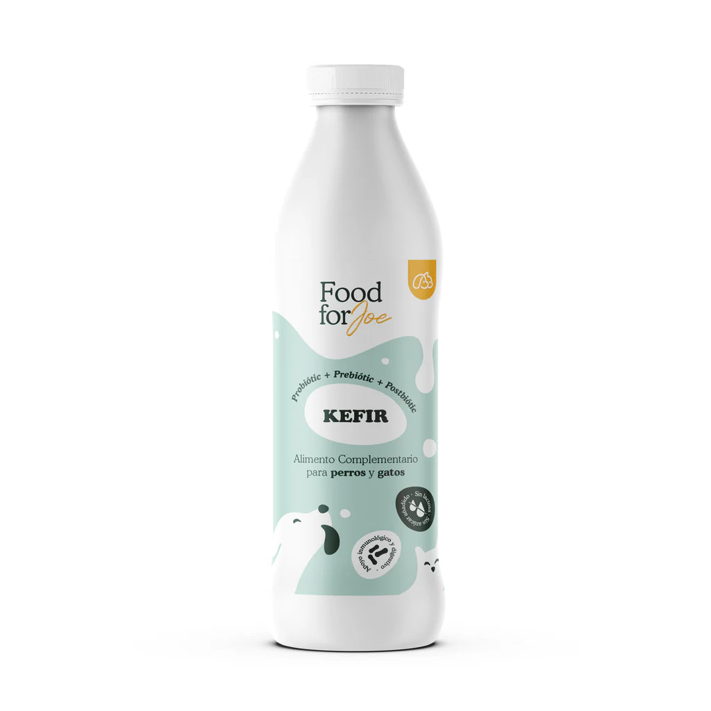 KEFIR NATURAL SIN LACTOSA